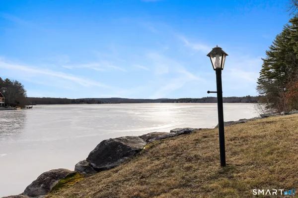 a lake view with a tree in the background