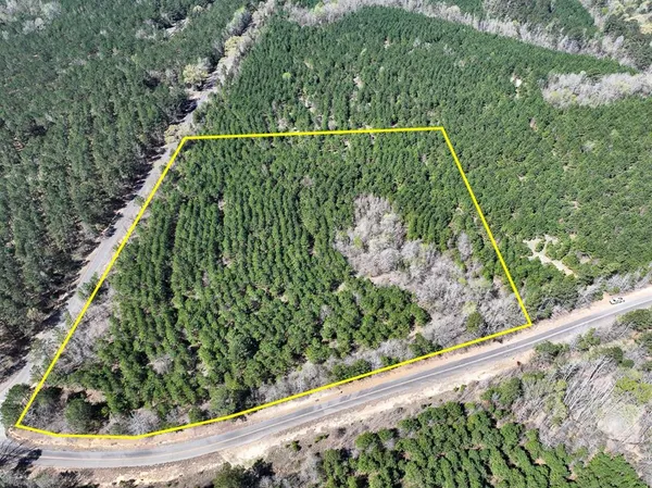 a view of a garden from a balcony