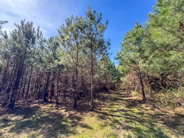 a view of a tree in front of a house