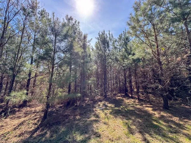 a view of outdoor space with trees