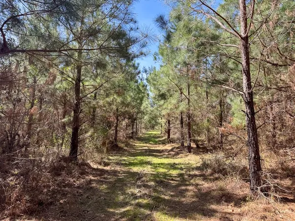 a view of a road with a trees in the background