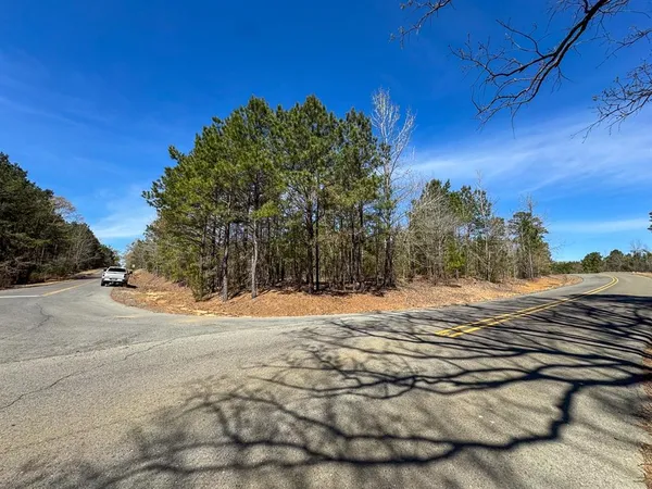 $55,900 | 13 United Gas Road 1, Rodessa, LA 71069