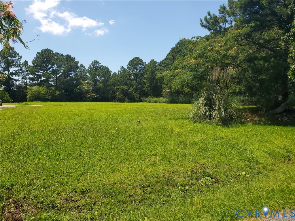a view of field with tall trees