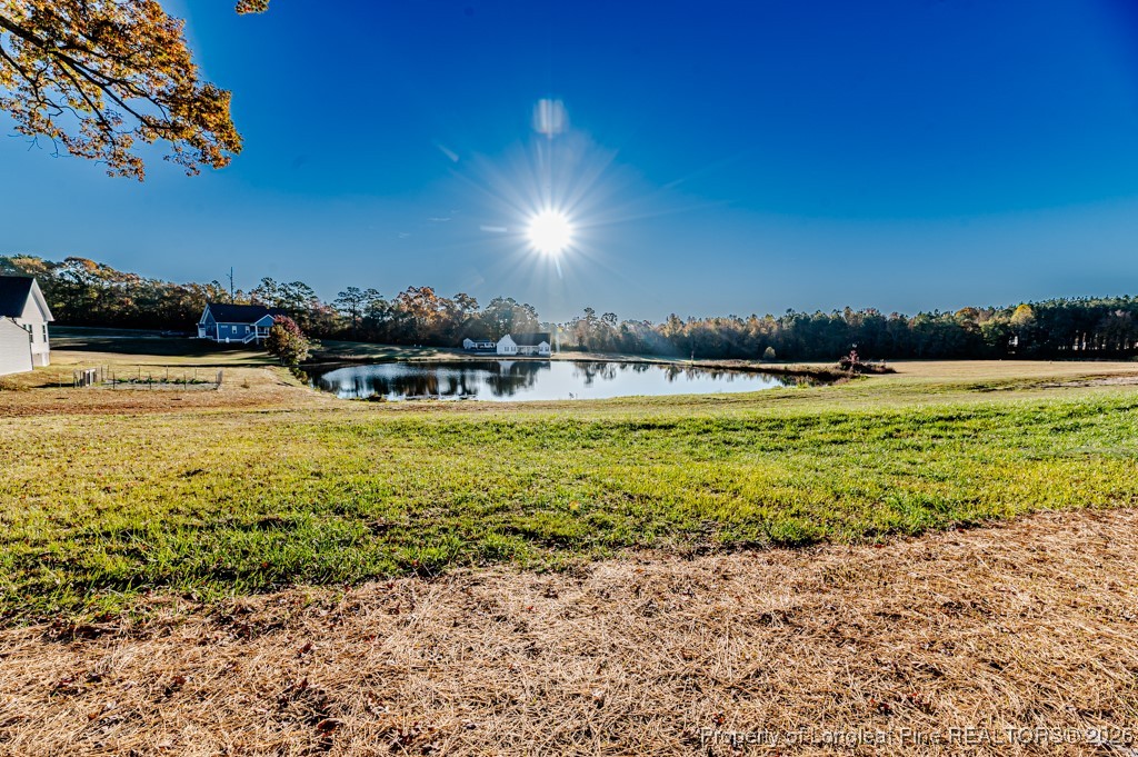 2517 Sheriff Watson Road Sanford, NC 27332 - Photo 26 of 50