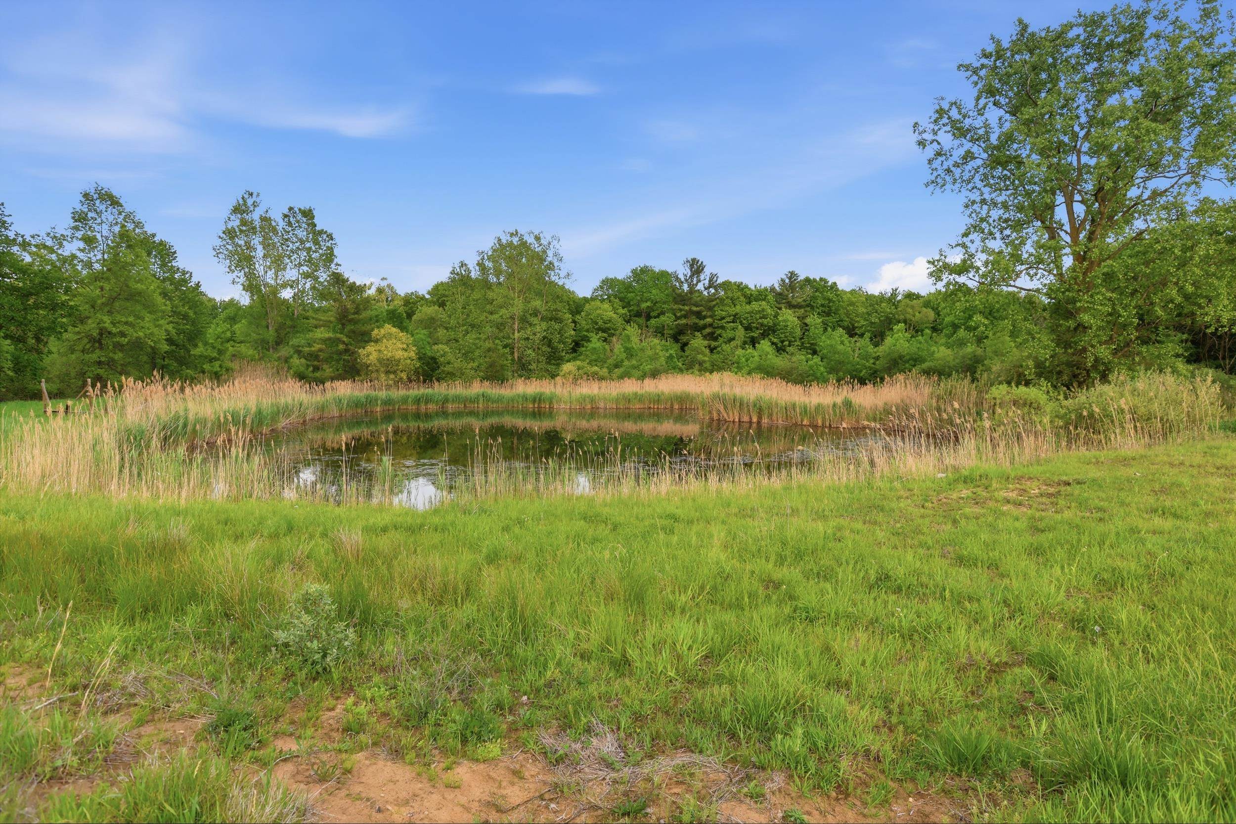 Vl South Chapin Road Elsie, MI 48831 - Photo 11 of 26