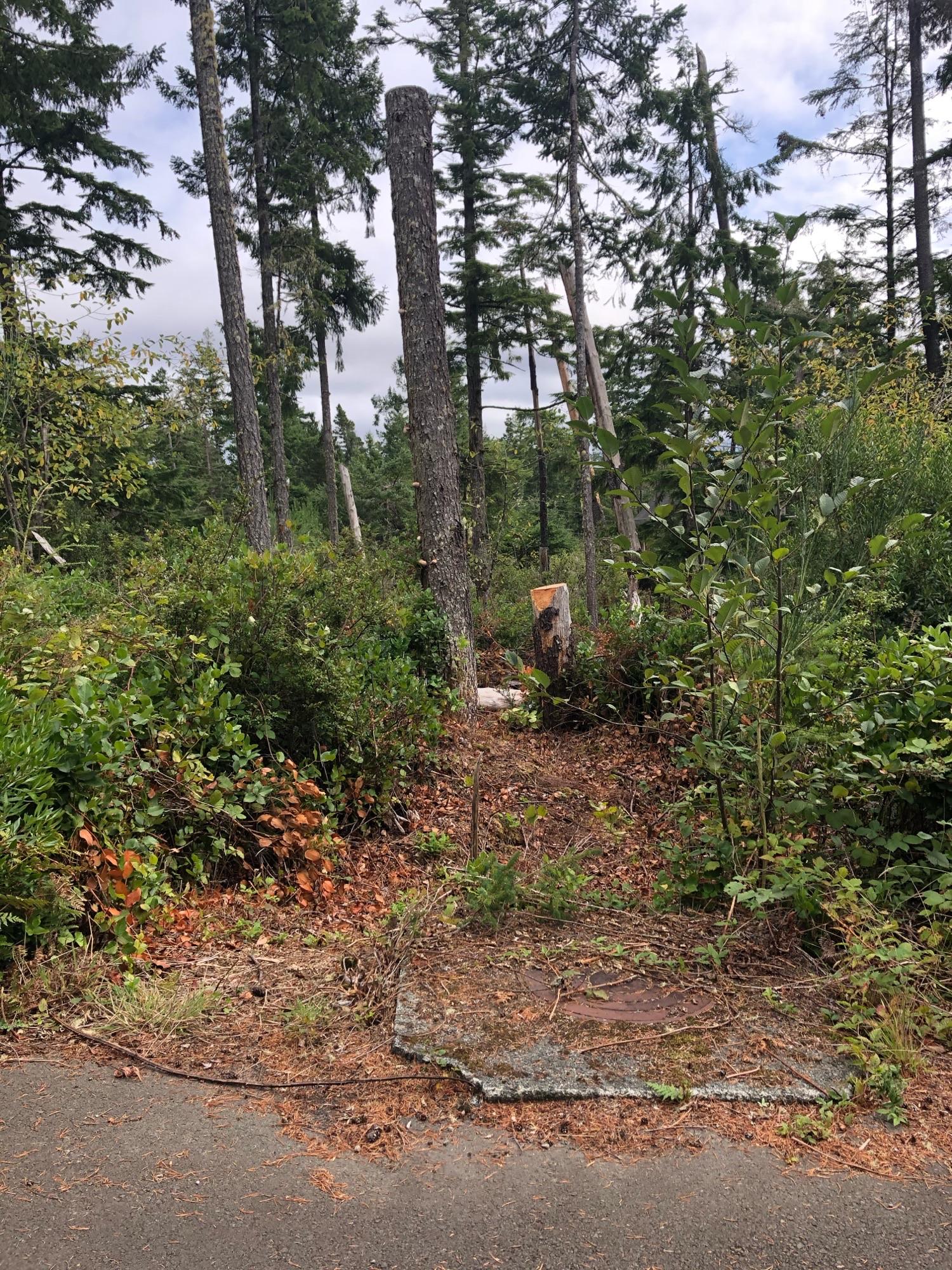 19th Street Manzanita, OR 97130 - Photo 13 of 14 Image(3)