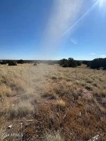 a view of beach and yard