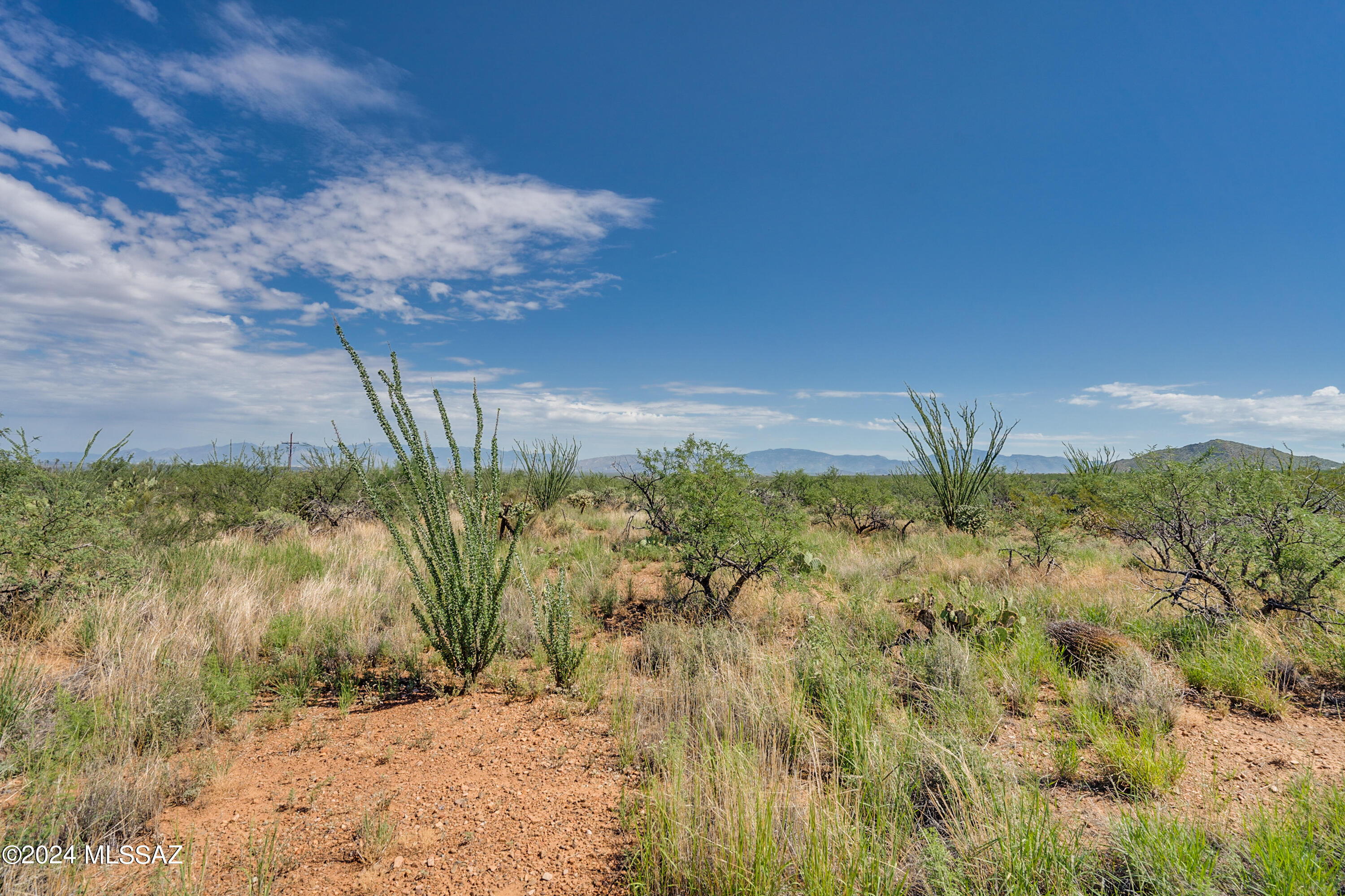 9789 East Ocotillo Rim Trail Vail, AZ 85641 - Photo 26 of 29 Ocotillo Rim Trl-8