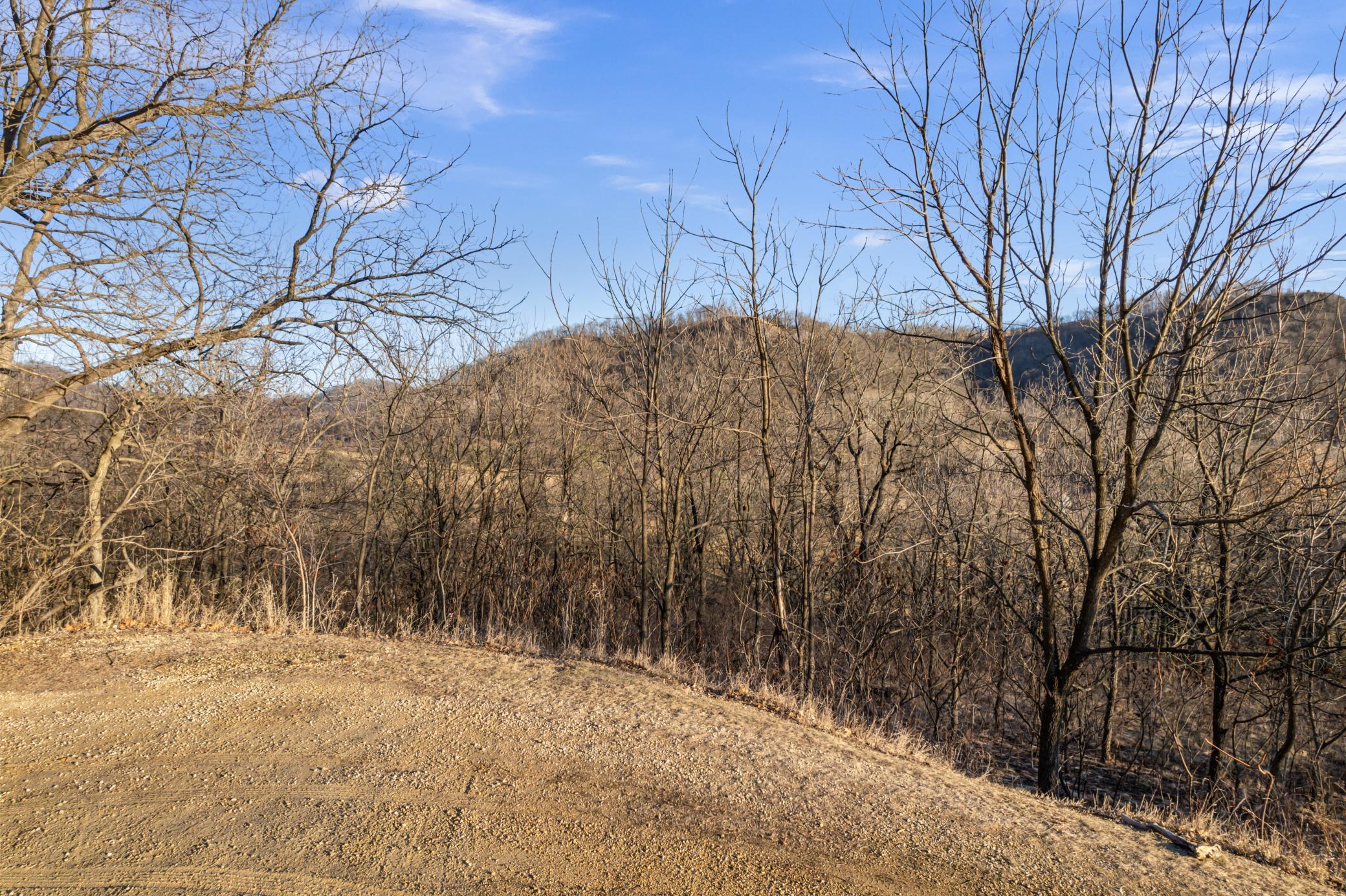 Xx Golf View Road Cochrane, WI 54622 - Photo 7 of 9