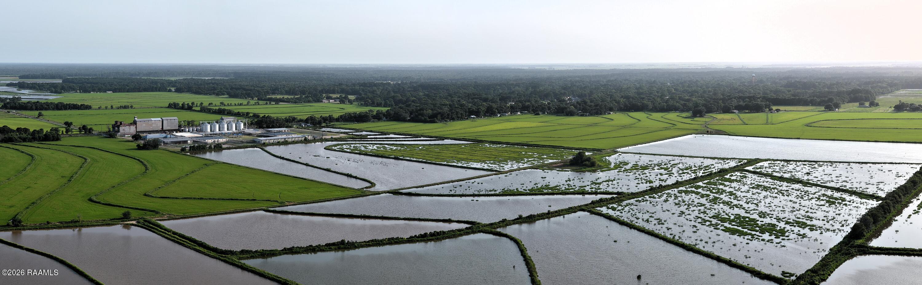 3670 East Stagg Basile, LA 70515 - Photo 5 of 7 DJI_20260625182659_0012_D
