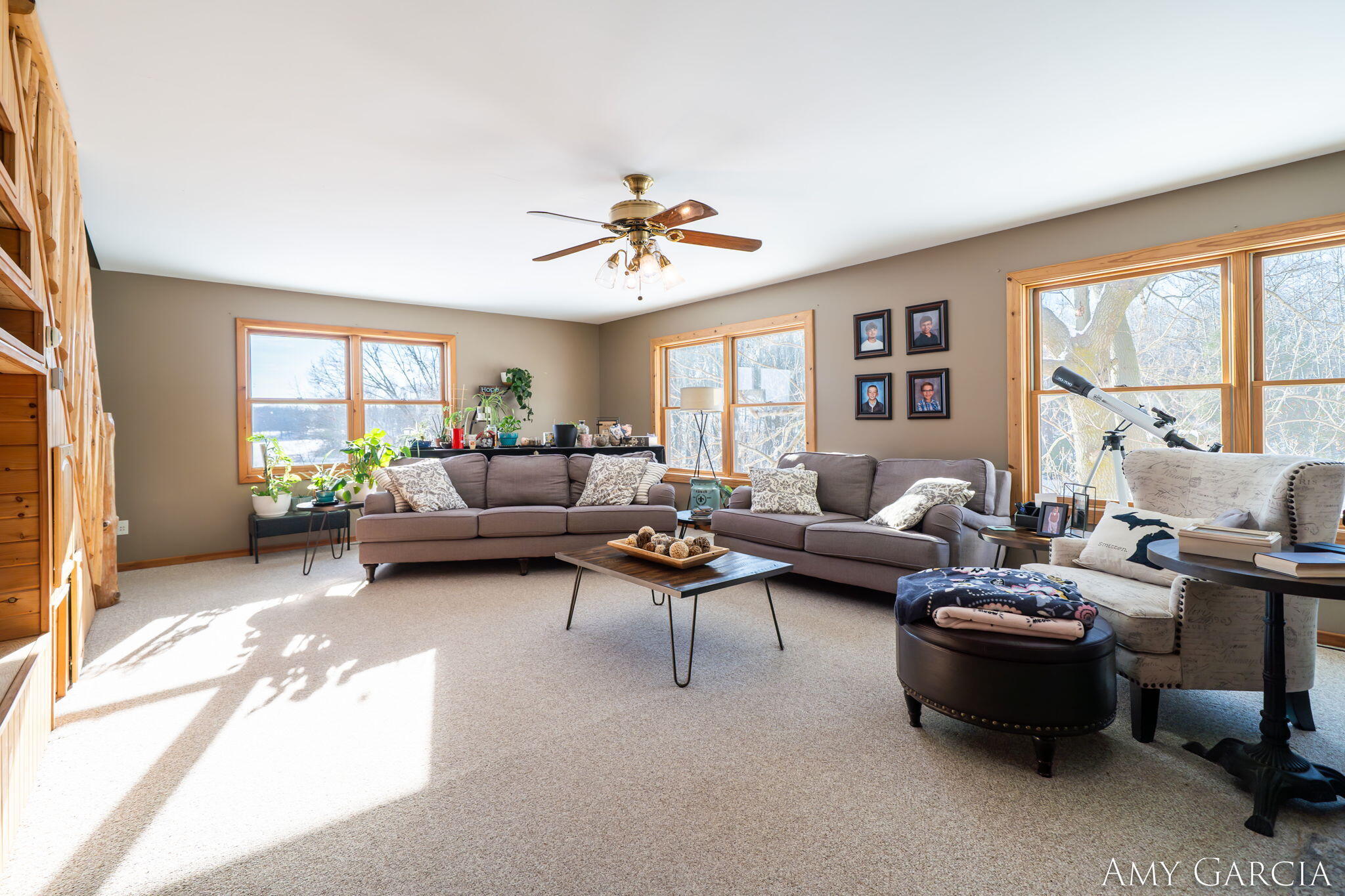 7991 Rose Road Delton, MI 49046 - Photo 23 of 84 23-web-or-mls-7991 Rose Rd, Delton, MI 4