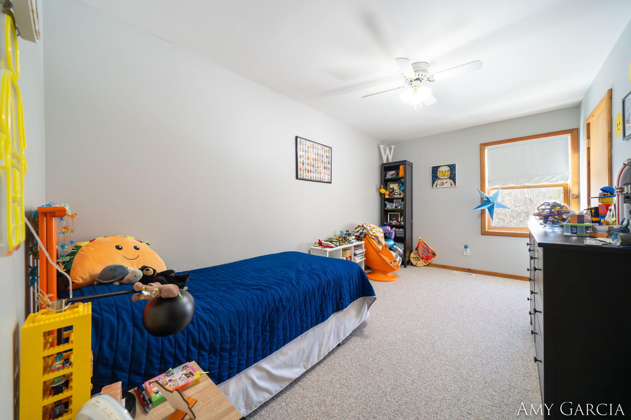 7991 Rose Road Delton, MI 49046 - Photo 37 of 84 37-web-or-mls-7991 Rose Rd, Delton, MI 4