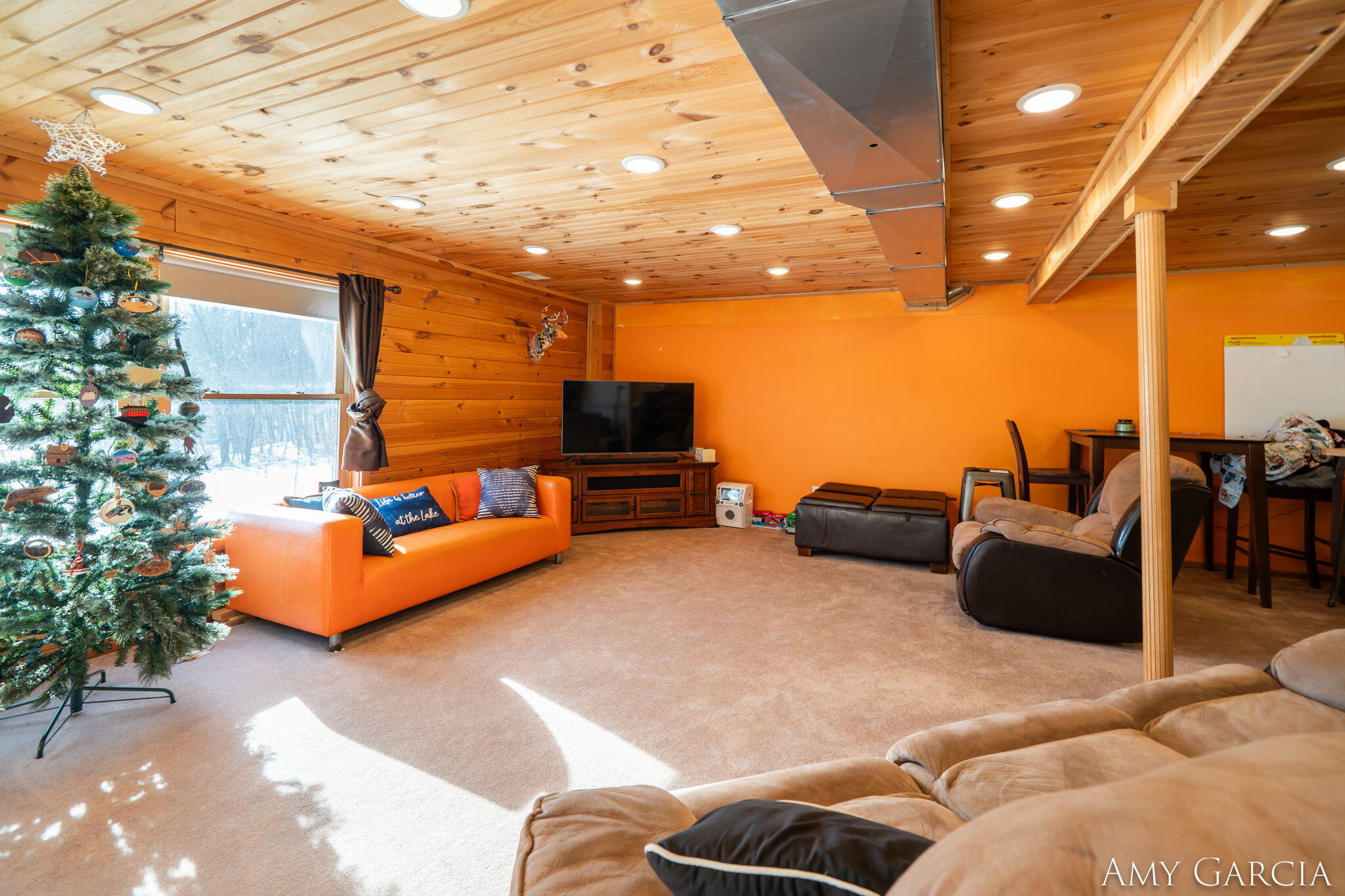 7991 Rose Road Delton, MI 49046 - Photo 43 of 84 43-web-or-mls-7991 Rose Rd, Delton, MI 4