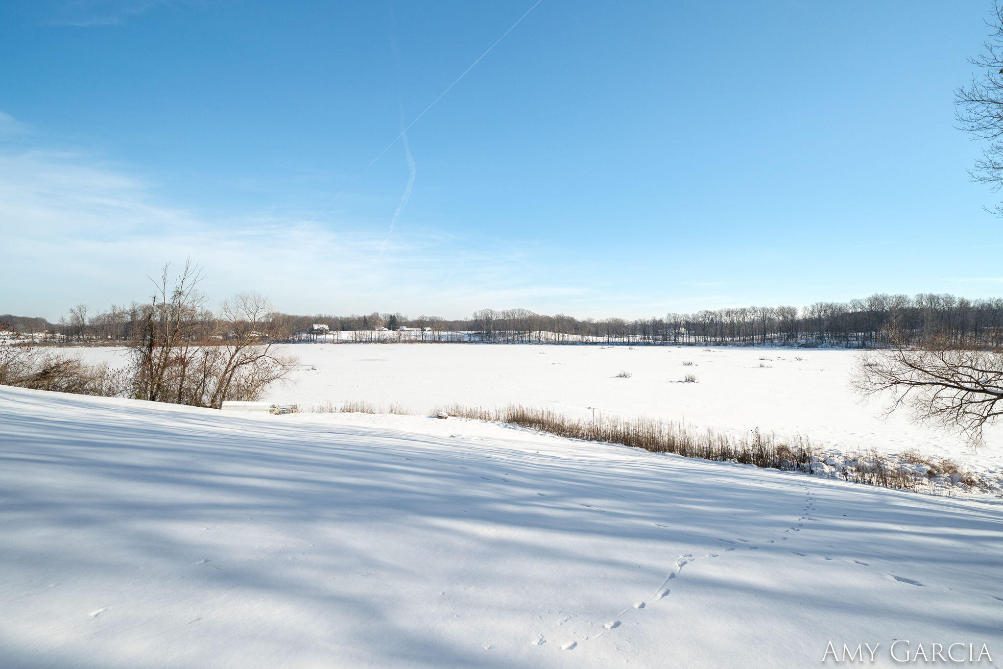 7991 Rose Road Delton, MI 49046 - Photo 61 of 84 61-web-or-mls-7991 Rose Rd, Delton, MI 4