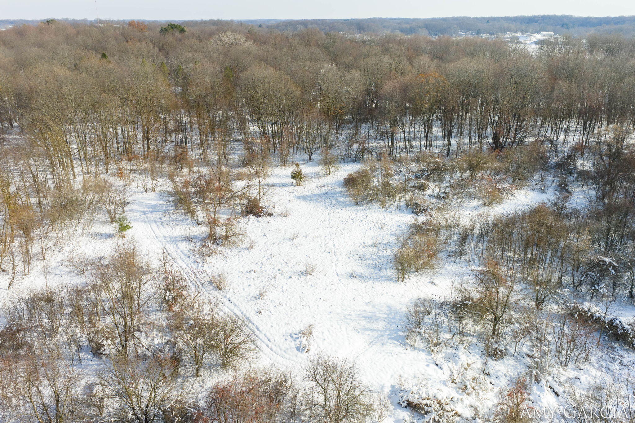 7991 Rose Road Delton, MI 49046 - Photo 70 of 84 70-web-or-mls-7991 Rose Rd, Delton, MI 4