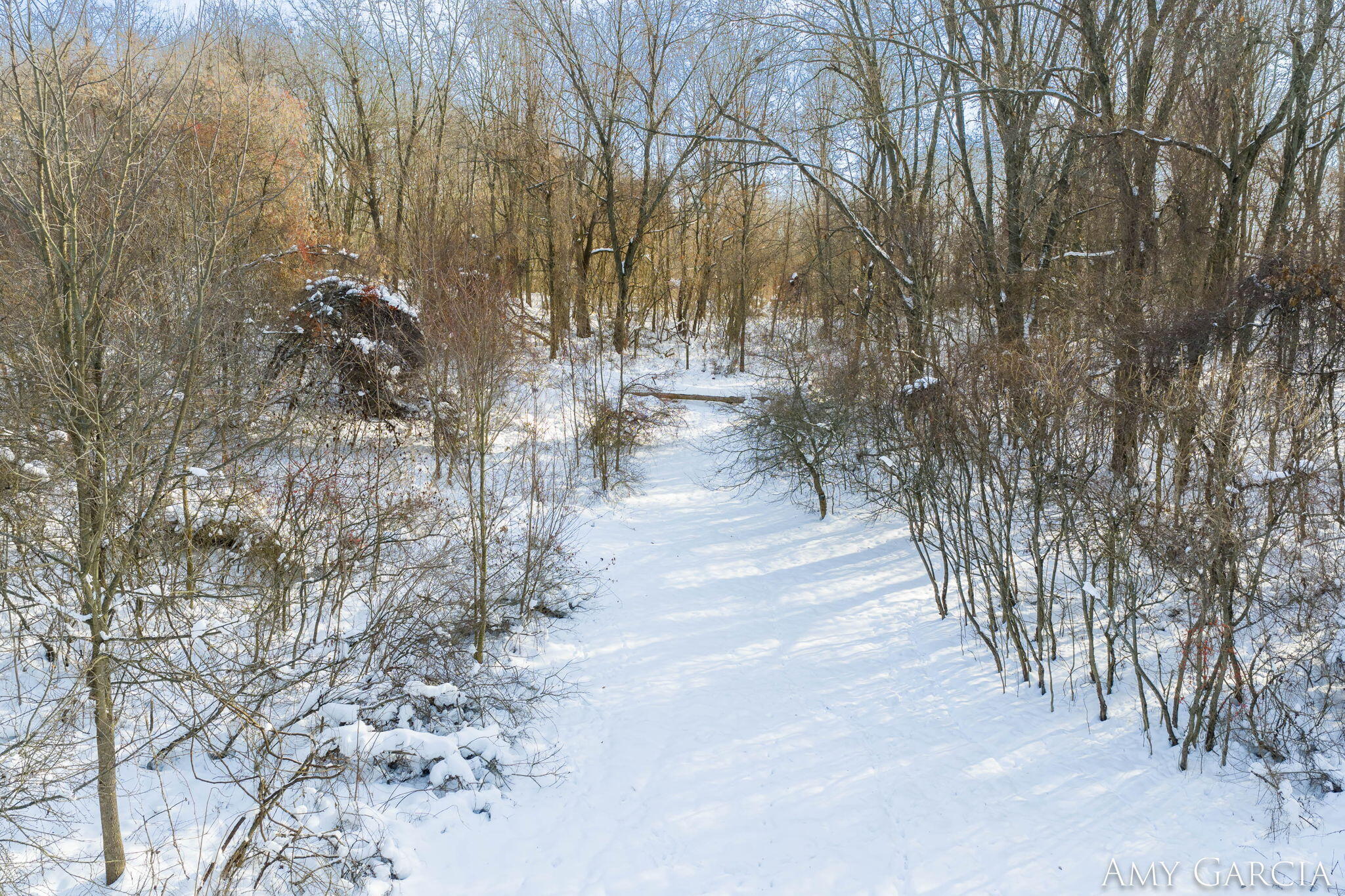 7991 Rose Road Delton, MI 49046 - Photo 71 of 84 71-web-or-mls-7991 Rose Rd, Delton, MI 4