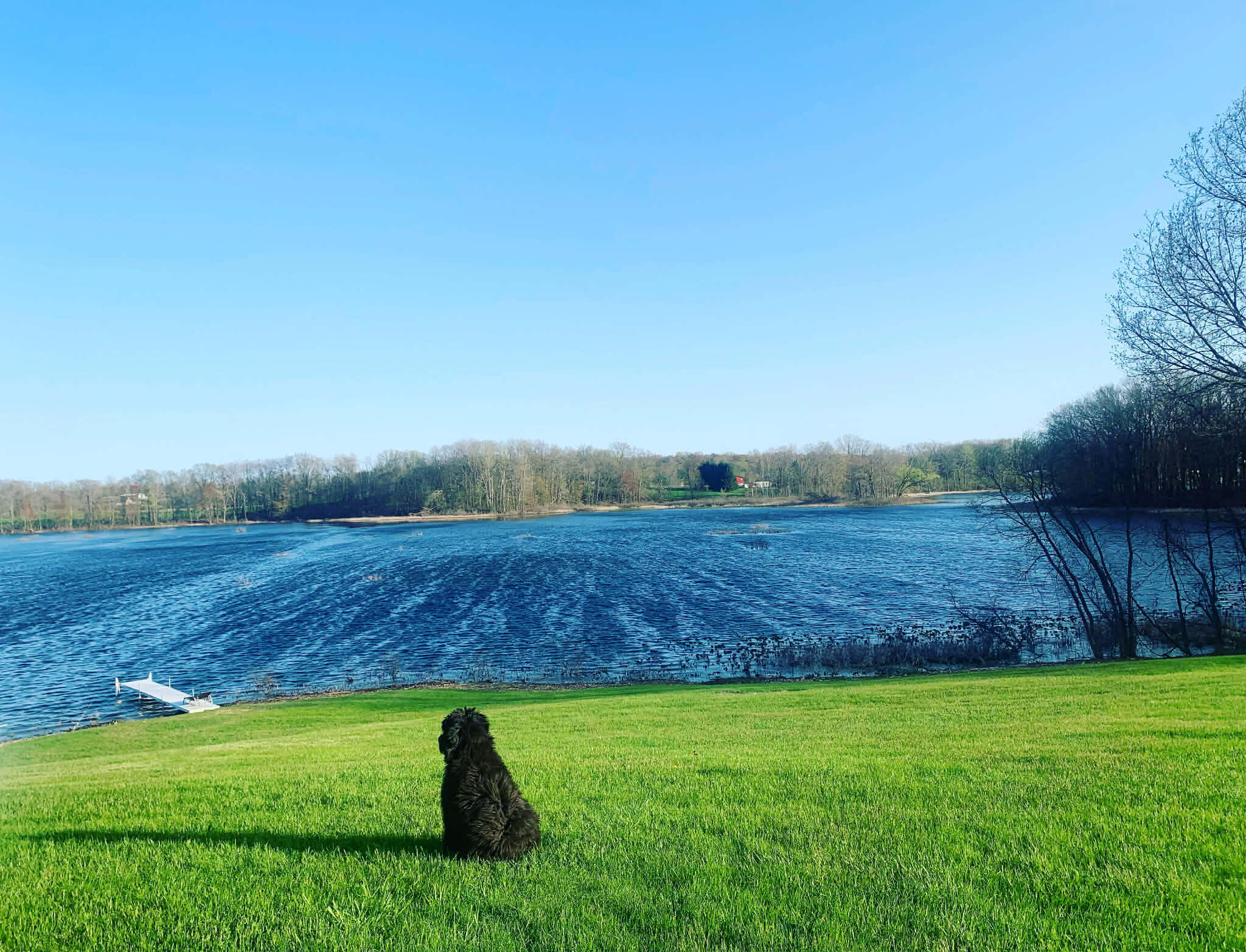 7991 Rose Road Delton, MI 49046 - Photo 76 of 84 E7886376-F25E-408E-AC6D-A2C4218FF9AA