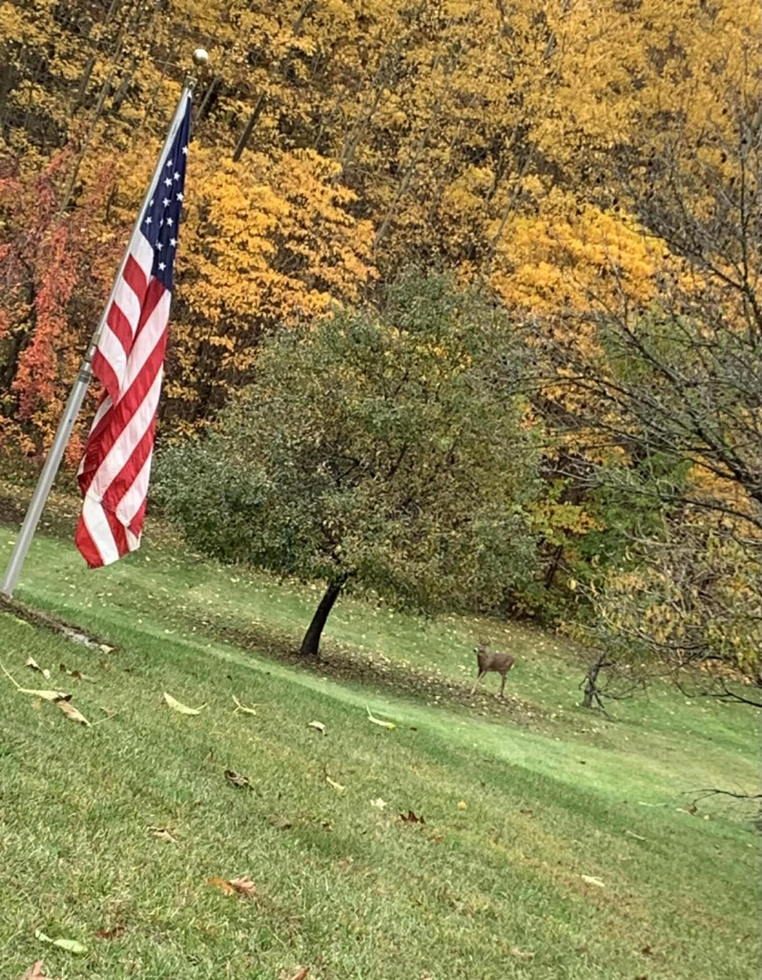 7991 Rose Road Delton, MI 49046 - Photo 79 of 84 82A67FAC-2ADA-46BA-B963-29A445DBD90D