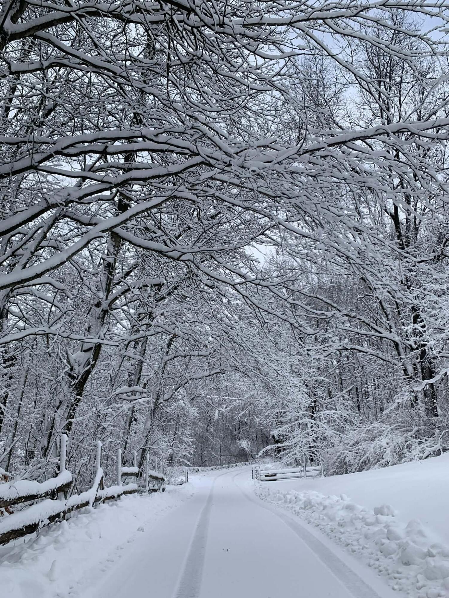 7991 Rose Road Delton, MI 49046 - Photo 80 of 84 5E5D5E17-9F00-4FF3-9CF2-66B2B7A07D9A