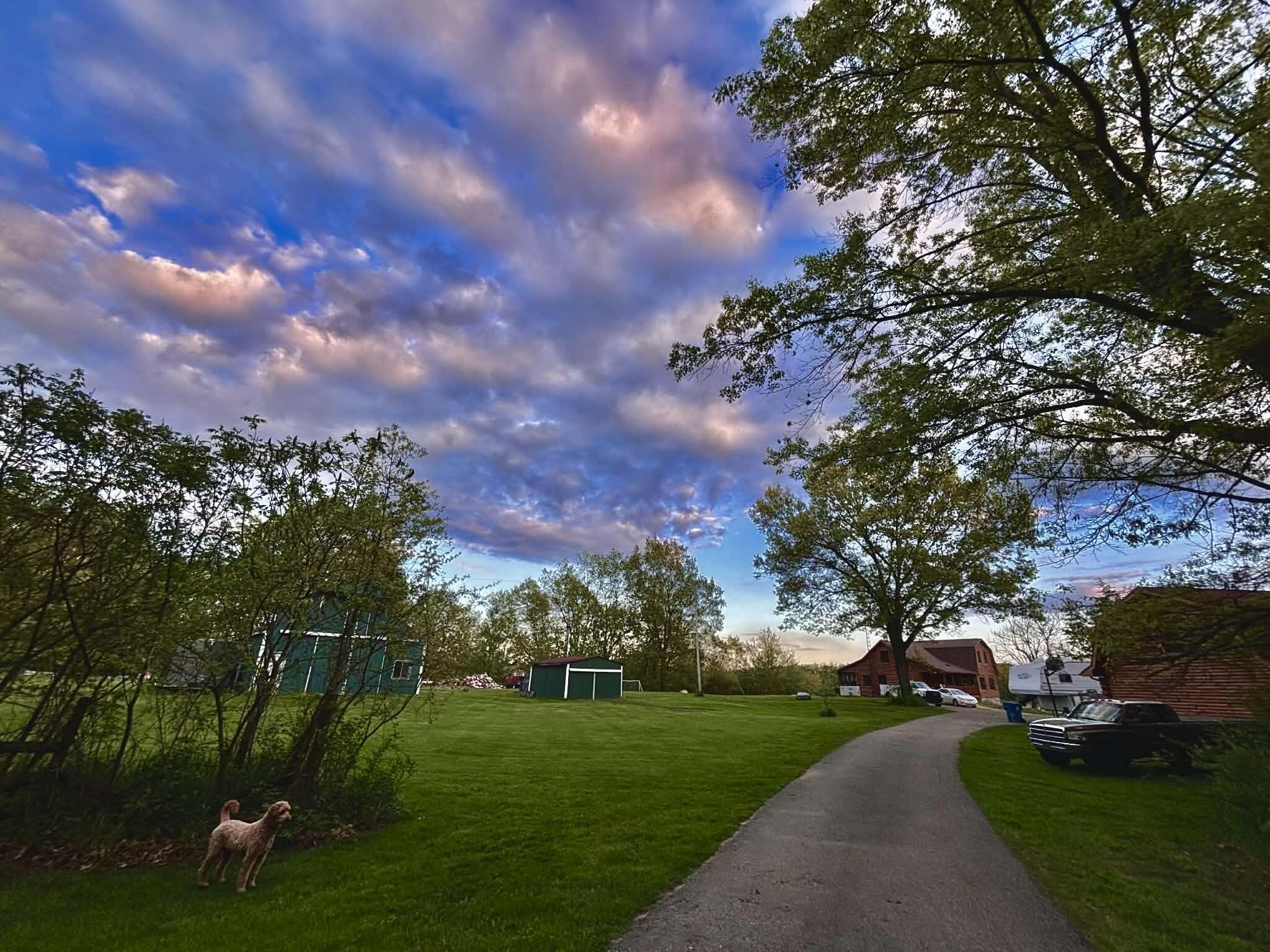 7991 Rose Road Delton, MI 49046 - Photo 81 of 84 EFF28943-C295-4847-ABDE-0F4B594319B7