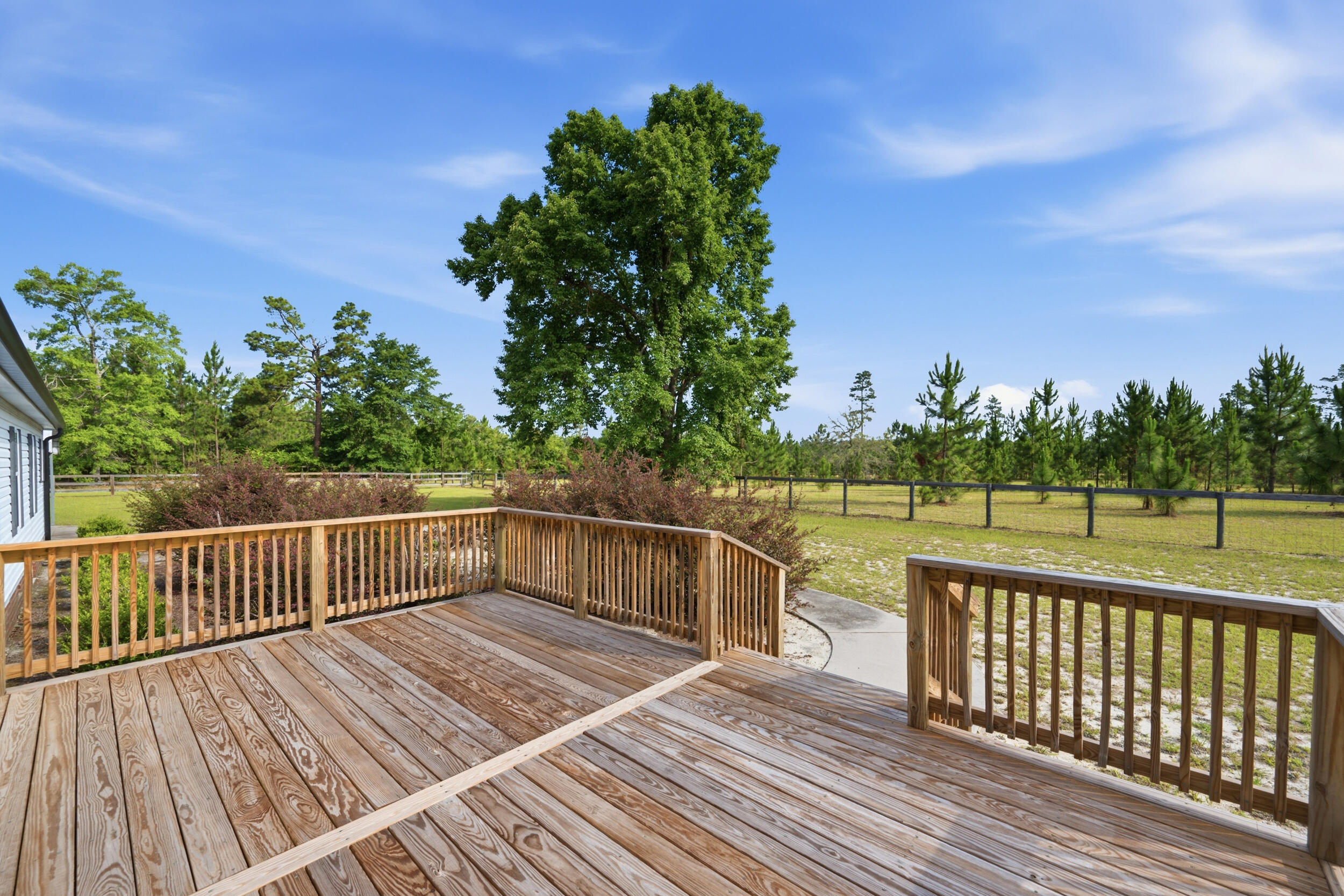 685 Centerwood Road Williston, SC 29853 - Photo 29 of 42