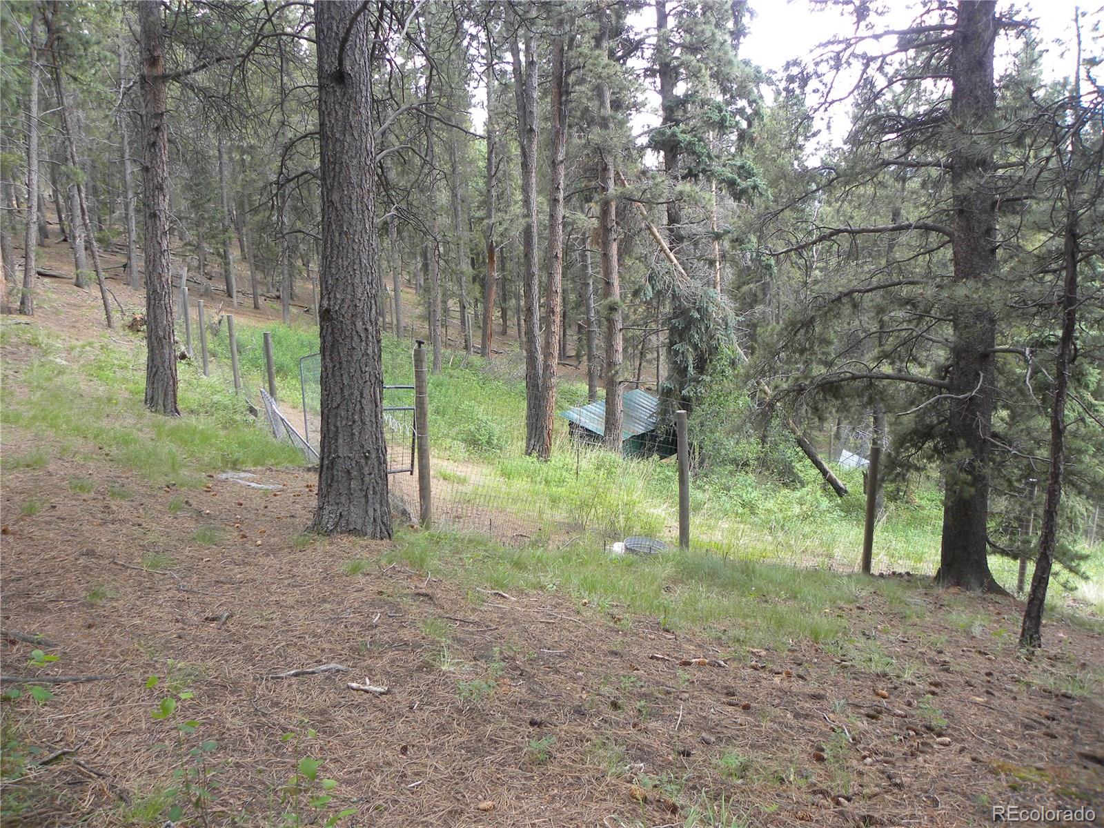 356 Ridge Rd Pine Pine, CO 80470 - Photo 25 of 30