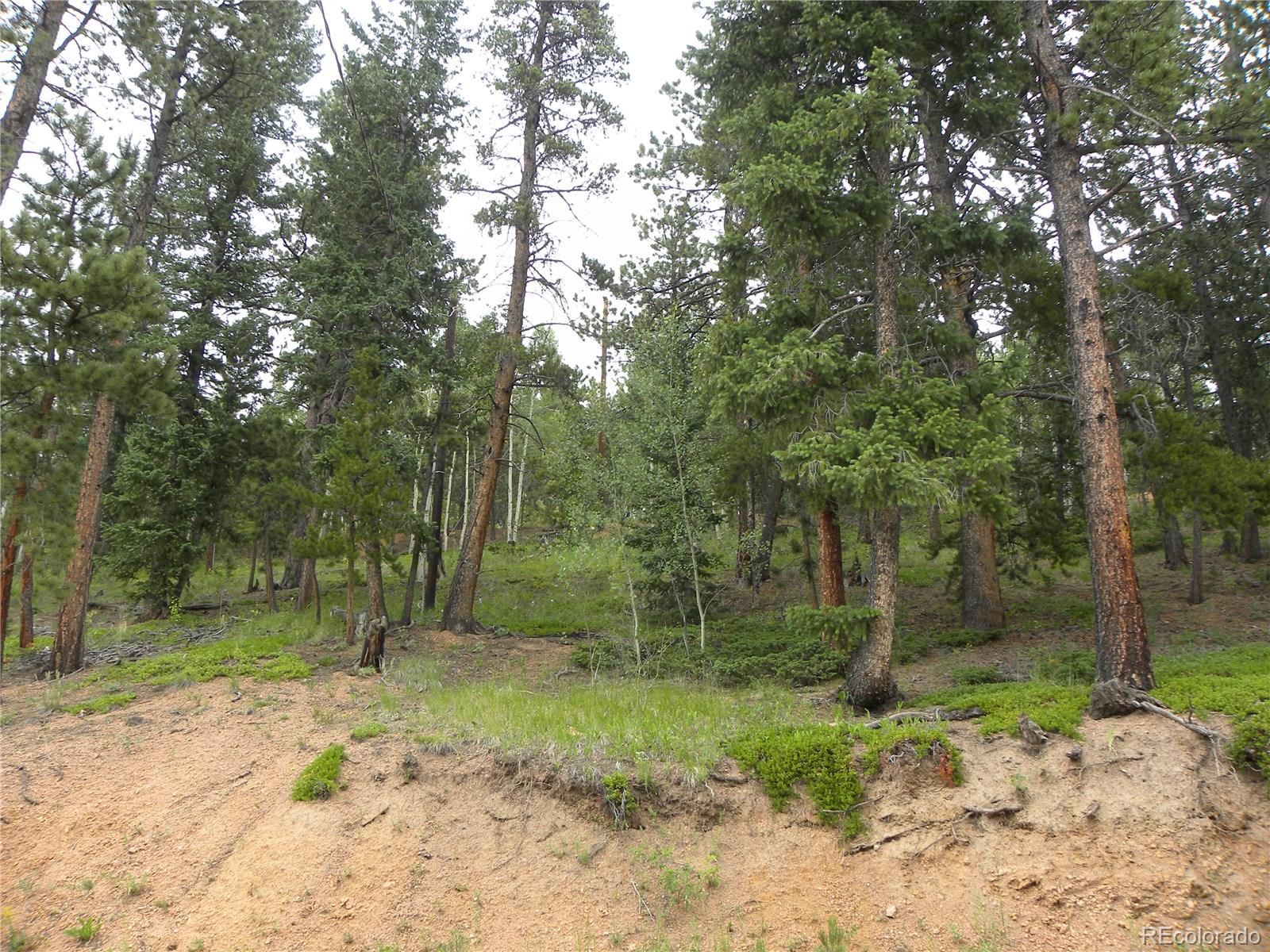 356 Ridge Rd Pine Pine, CO 80470 - Photo 27 of 30