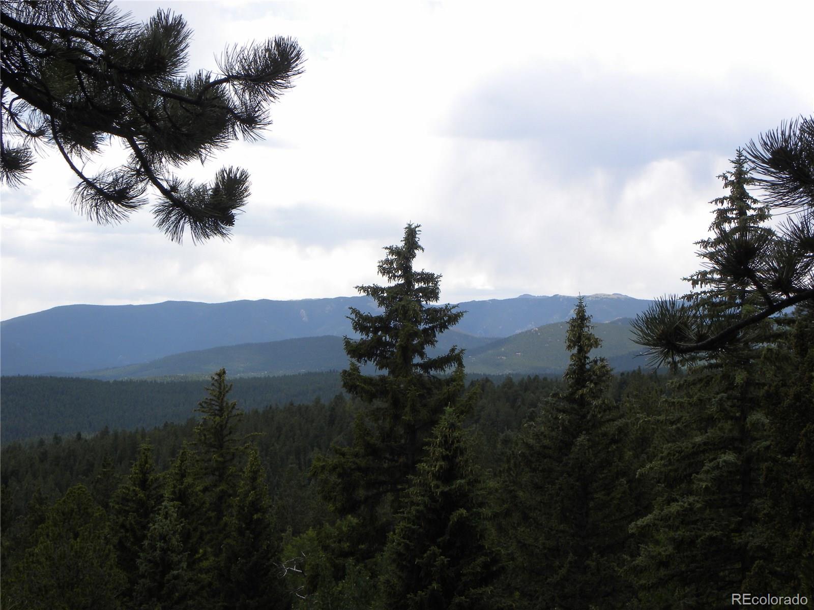 356 Ridge Rd Pine Pine, CO 80470 - Photo 28 of 30