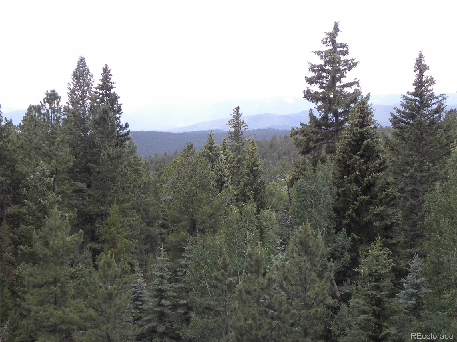 356 Ridge Rd Pine Pine, CO 80470 - Photo 29 of 30