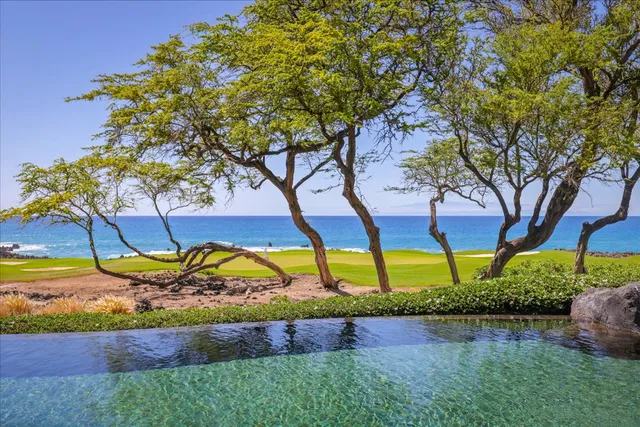 $24,900,000 | 68-1115 Honokaope Place, Unit 1, Kamuela, HI 96743