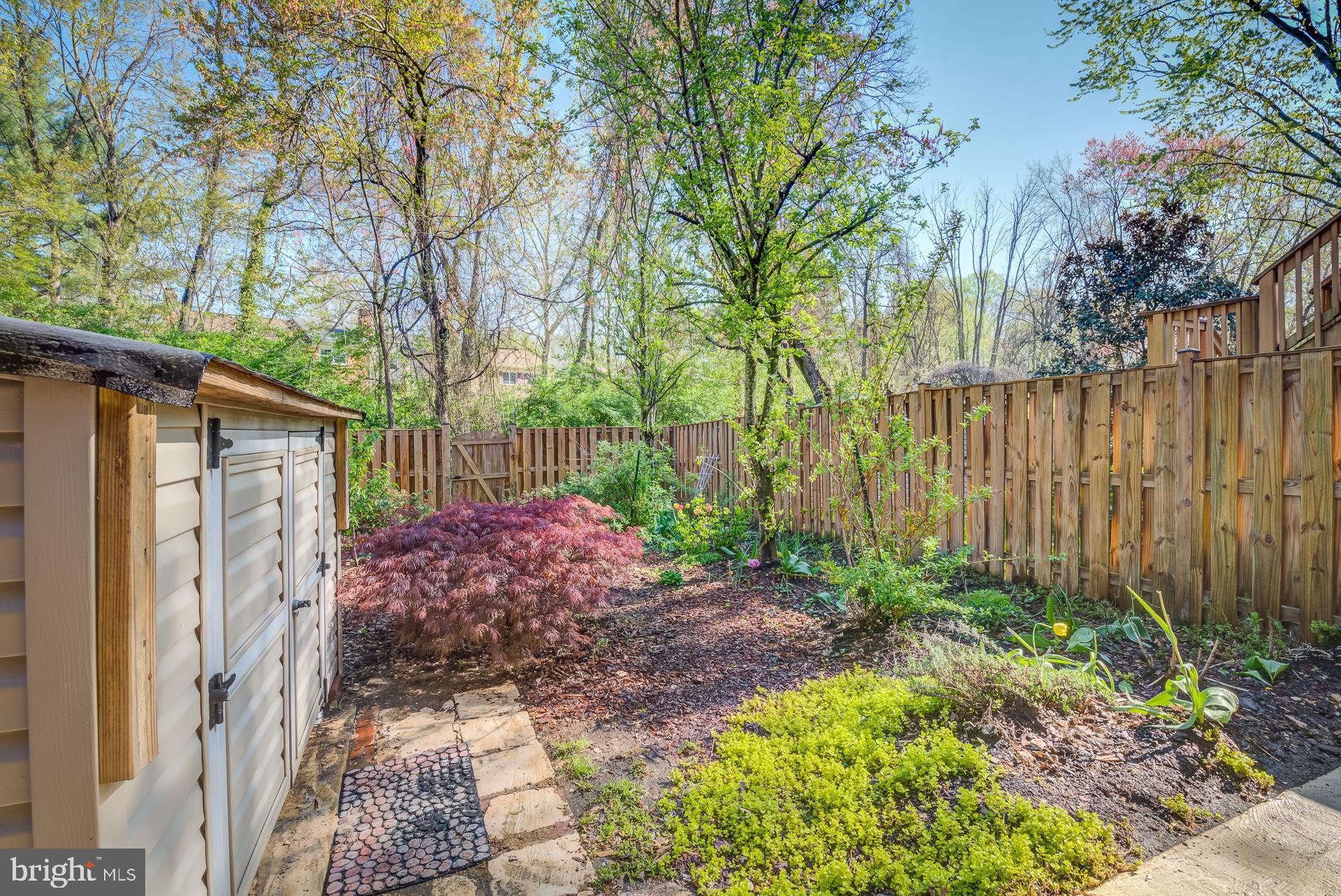 910 Moorefield Creek Road Southwest Vienna, VA 22180 - Photo 5 of 56 Backyard