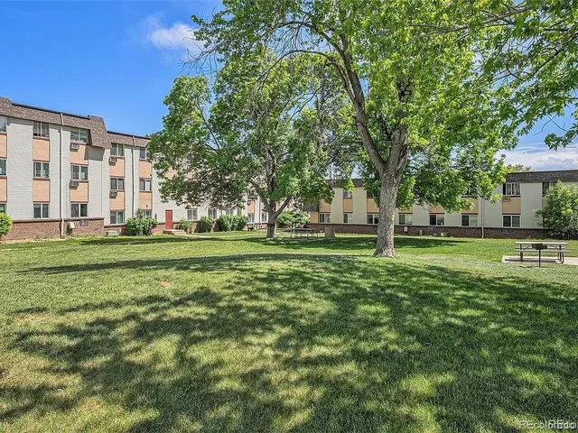 a view of a park with tree s