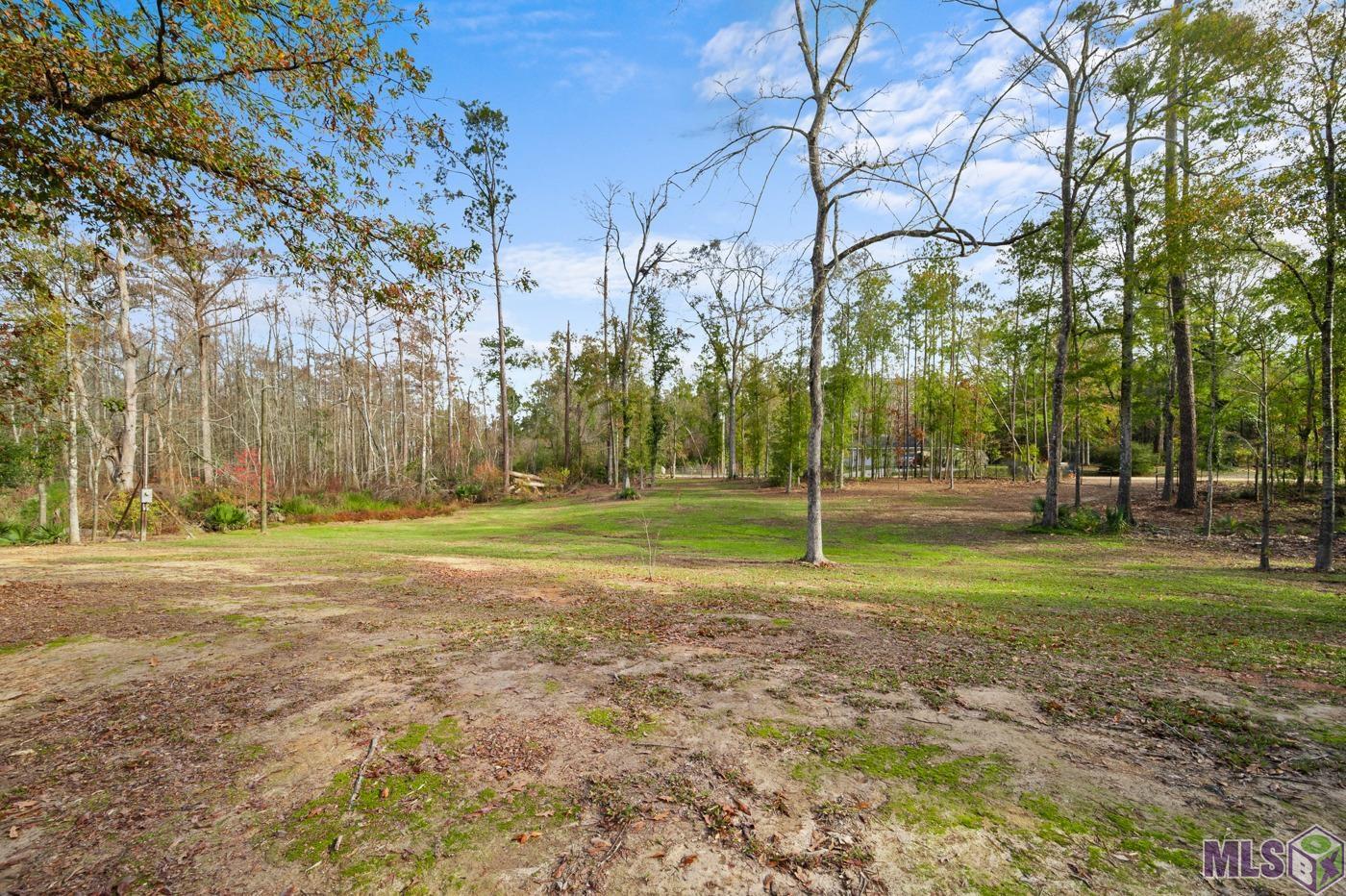 20765 Riverside Road Springfield, LA 70462 - Photo 11 of 14