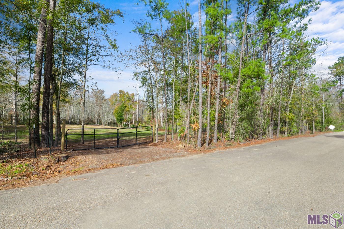 20765 Riverside Road Springfield, LA 70462 - Photo 12 of 14