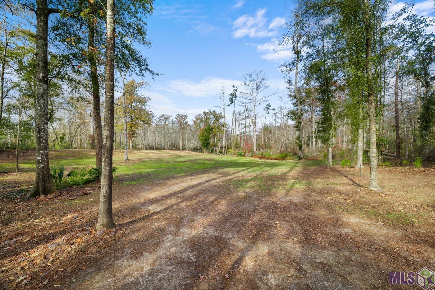 20765 Riverside Road Springfield, LA 70462 - Photo 6 of 14