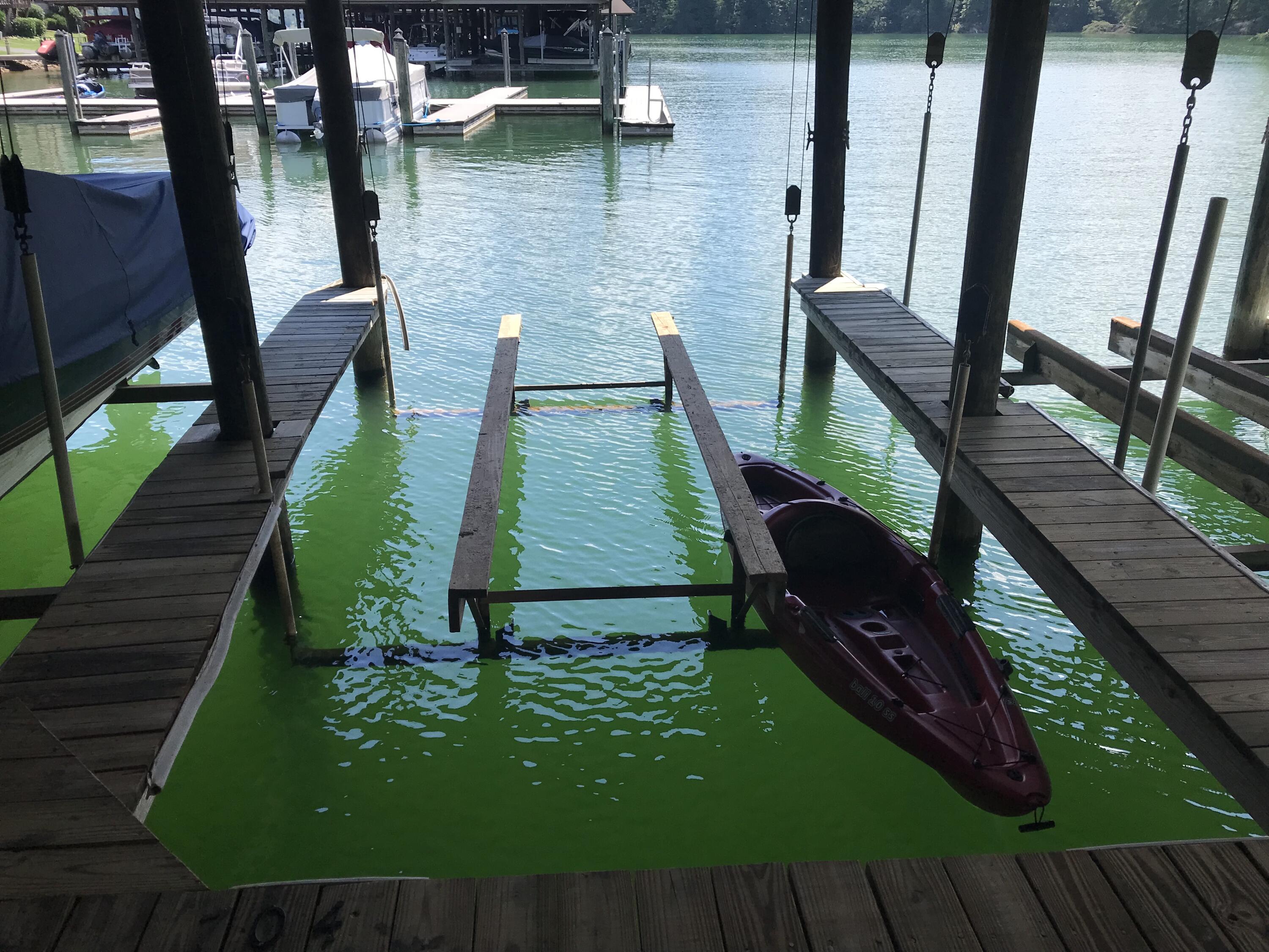 610 Monte Vista Road, Unit 704 Union Hall, VA 24176 - Photo 24 of 25 IMG_6470