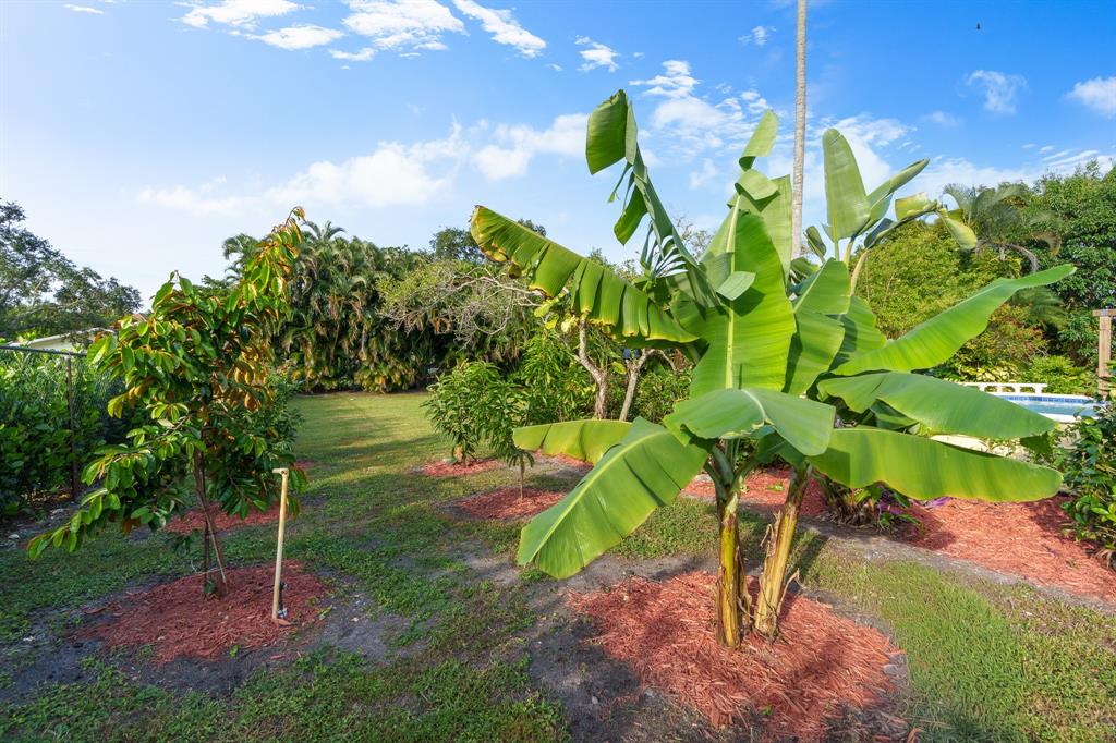 5973 Southwest 54th Court Davie, FL 33314 - Photo 36 of 49 a green field with lots of trees