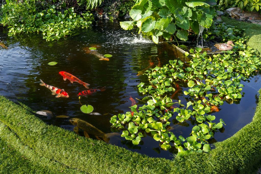 5973 Southwest 54th Court Davie, FL 33314 - Photo 5 of 49 a picture of flowers