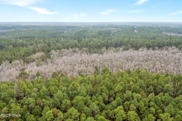 $73,250 | Xxx White Oak Lane, Bonifay, FL 32425