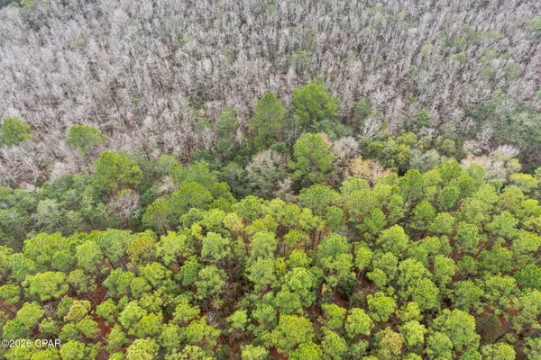 $73,250 | Xxx White Oak Lane, Bonifay, FL 32425