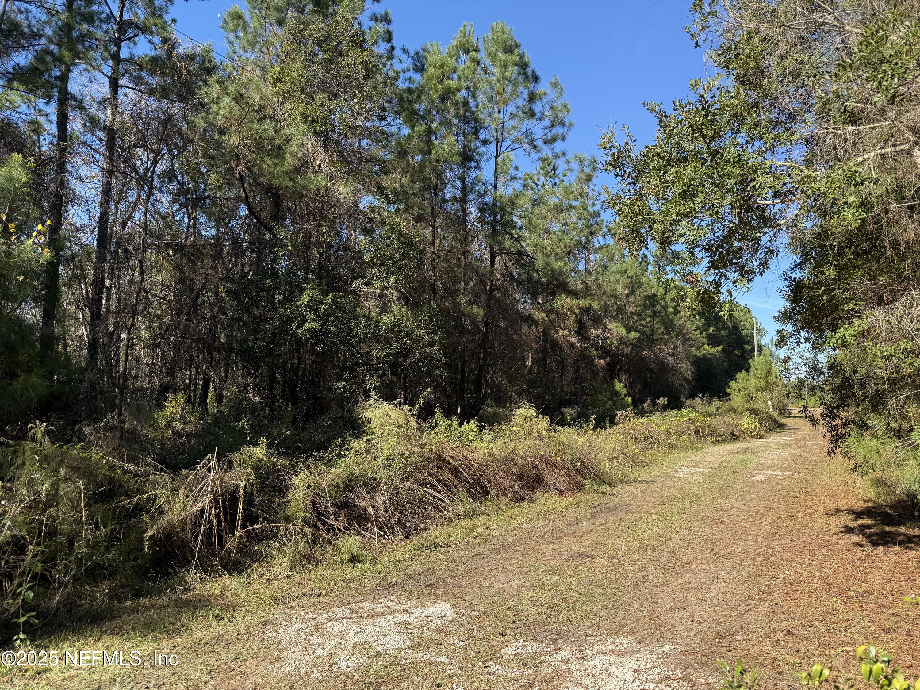 0 Do Hi Way Hilliard, FL 32046 - Photo 11 of 31 a view of a dirt road with trees