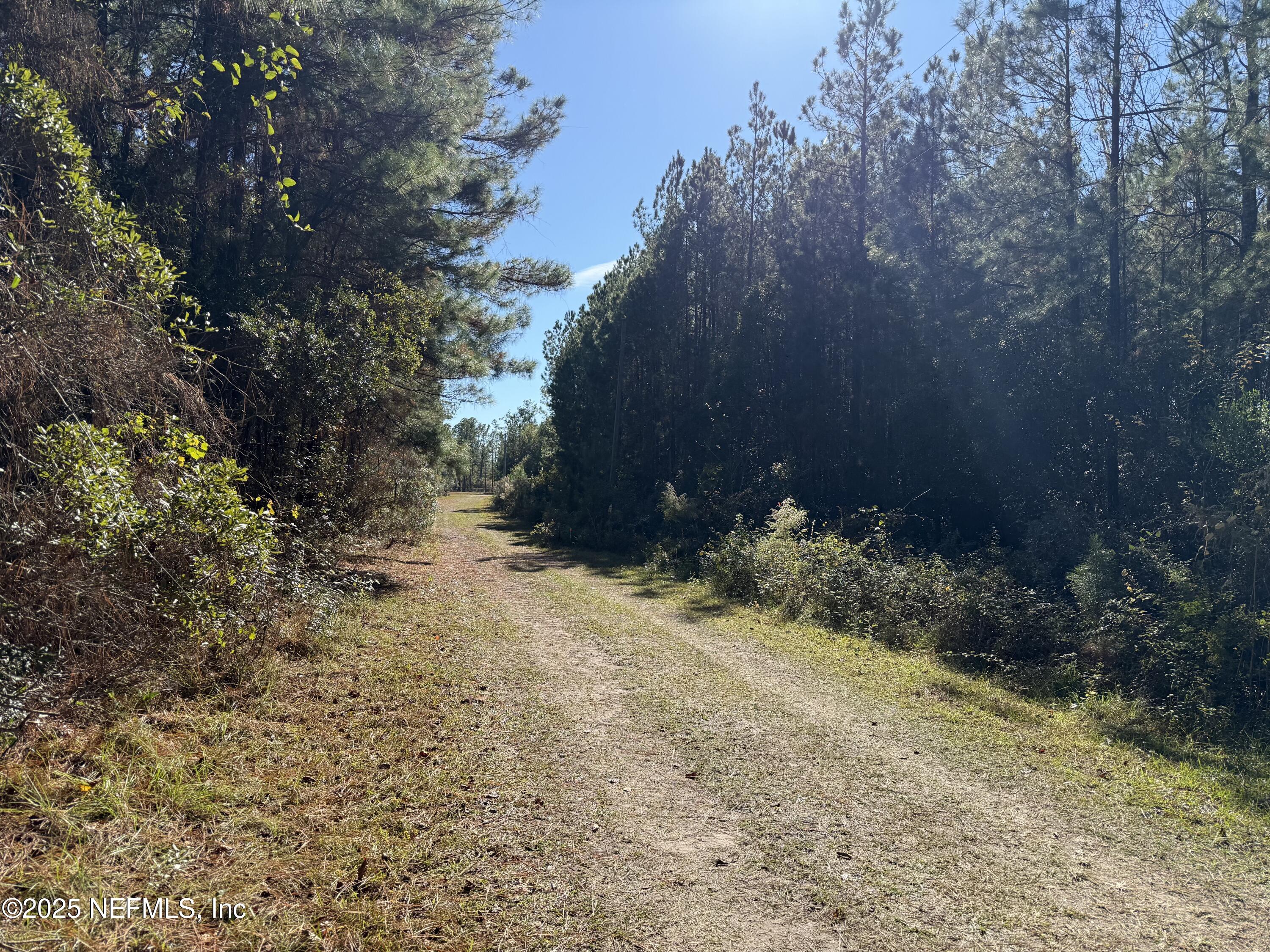 0 Do Hi Way Hilliard, FL 32046 - Photo 13 of 31 a view of a yard with plants and trees