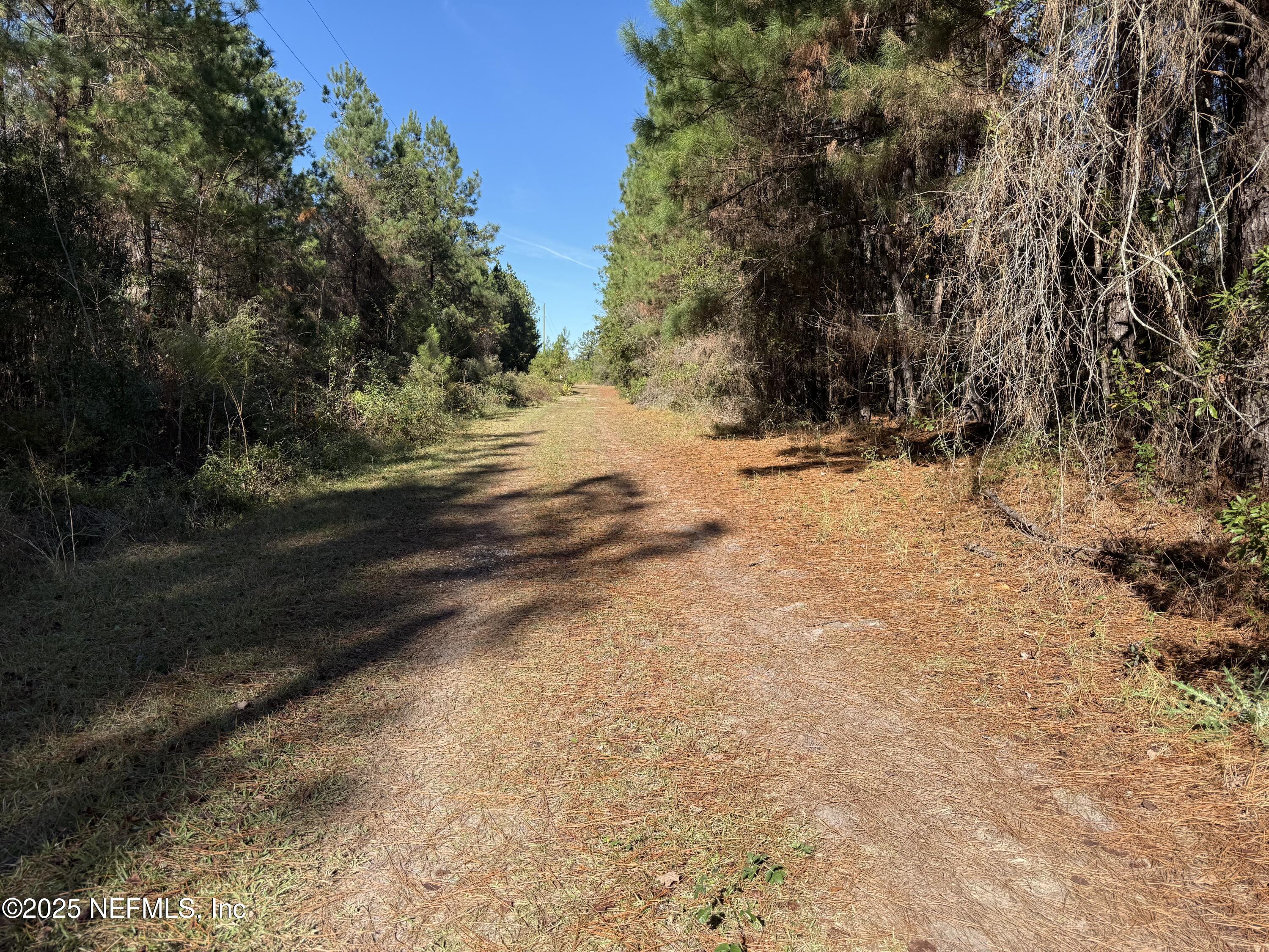 0 Do Hi Way Hilliard, FL 32046 - Photo 14 of 31 a view of snow on the side of road with trees