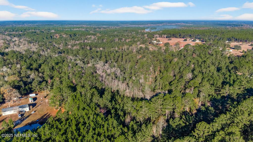 0 Do Hi Way Hilliard, FL 32046 - Photo 16 of 31 an aerial view of residential houses with outdoor space and trees