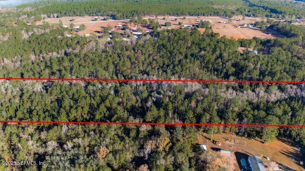 0 Do Hi Way Hilliard, FL 32046 - Photo 28 of 31 a view of a flower in a garden