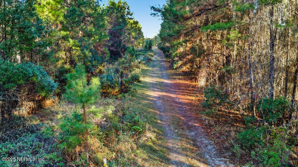 0 Do Hi Way Hilliard, FL 32046 - Photo 3 of 31 a backyard of a house with lots of green space