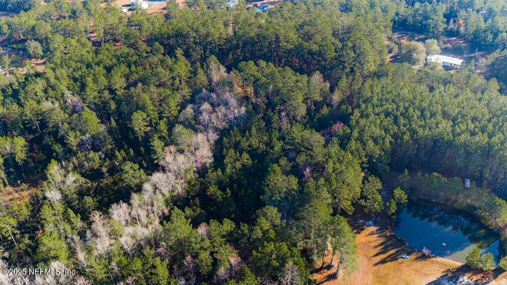 0 Do Hi Way Hilliard, FL 32046 - Photo 31 of 31 a view of a forest with a tree