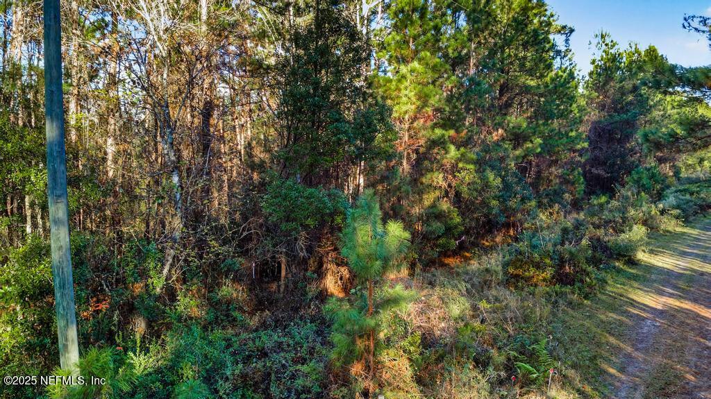 0 Do Hi Way Hilliard, FL 32046 - Photo 5 of 31 a view of a forest with plants and trees