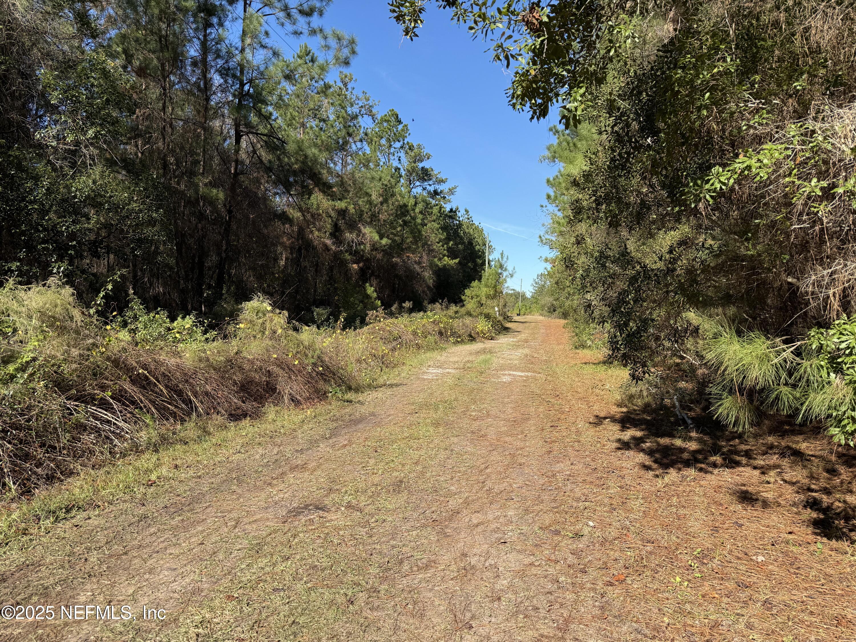 0 Do Hi Way Hilliard, FL 32046 - Photo 10 of 31 a view of ocean view with large trees