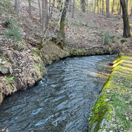 a view of a yard with plants
